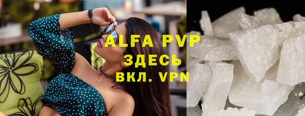 стаф Володарск