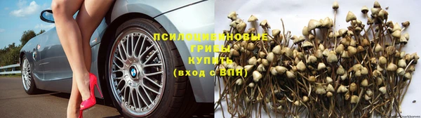 кокаин колумбия Вяземский