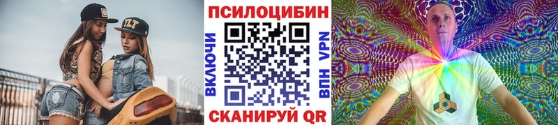Псилоцибиновые грибы Psilocybe  Звенигово 